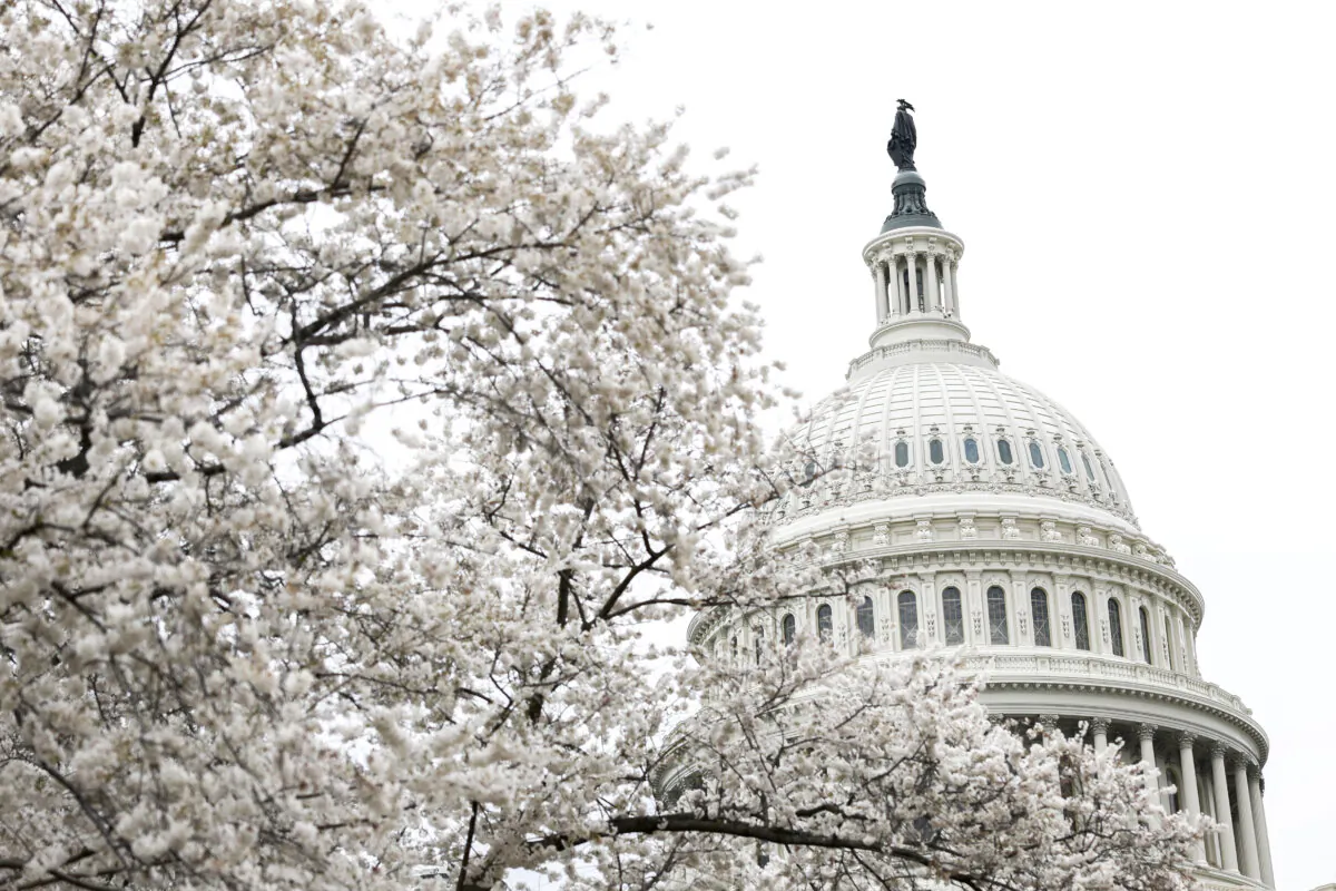 The dome of the U.S. Capitol in Washington on March 22, 2024. (Anna Moneymaker/Getty Images)