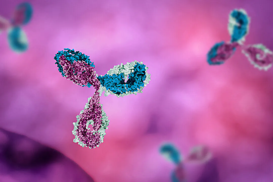 Vaccinated People Are Immune Imprinted, Have Unusual Response to COVID-19 mRNA Boosters