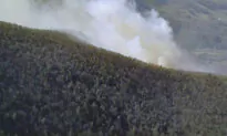 Rain Helps Contain Still-Burning Wildfires in Virginia’s Shenandoah Valley; State Sending More Aid