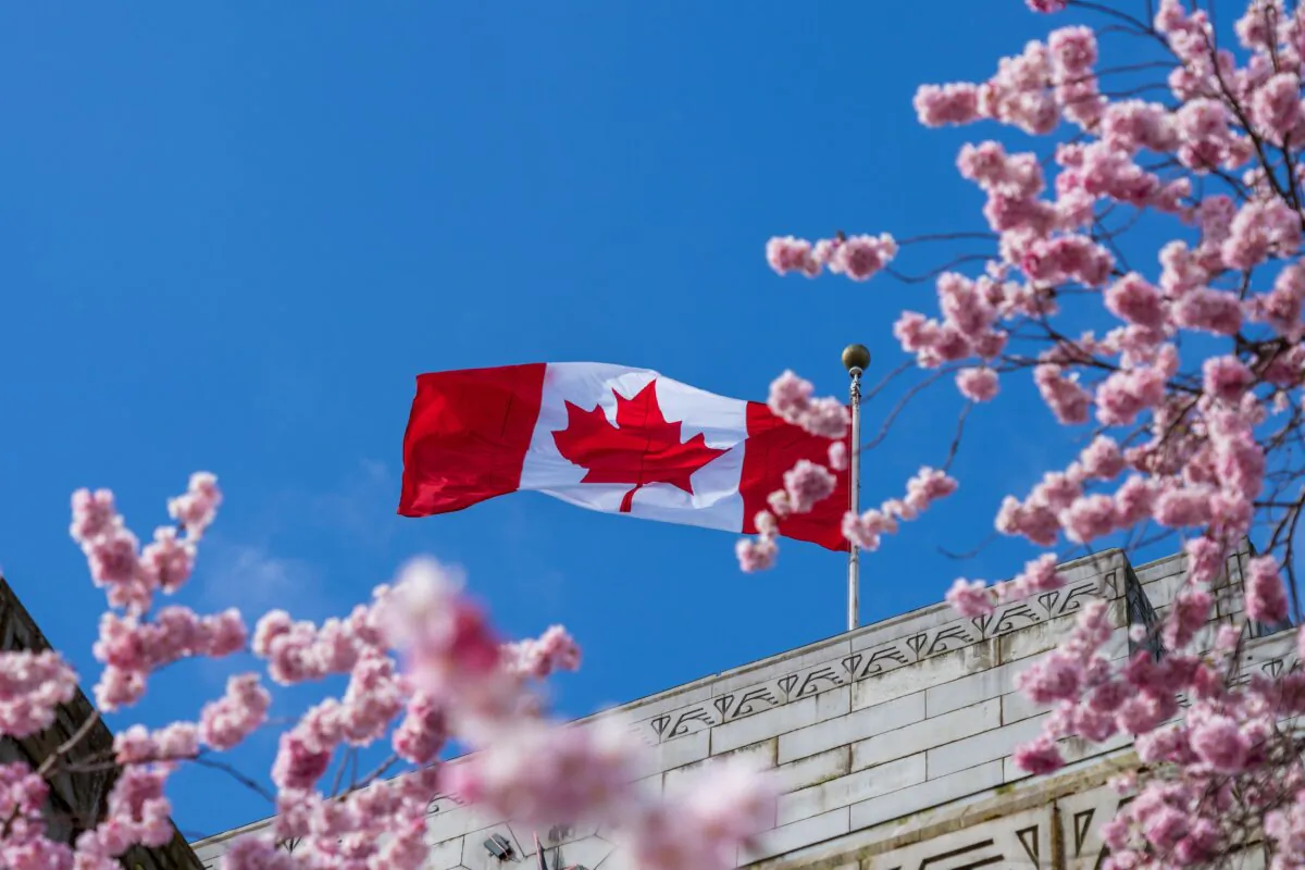 The national flag of Canada and cherry blossoms at Vancouver City Hall in Vancouver, B.C., in a file photo. (Shutterstock/Shawn.ccf)