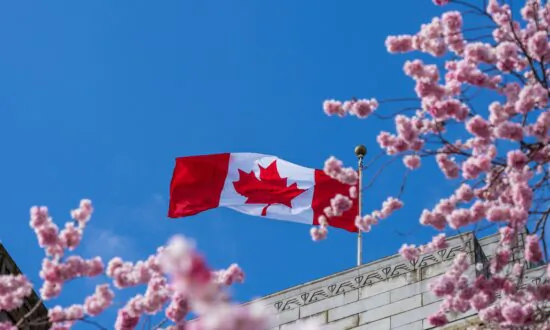 Best Locations in Canada to See Cherry Blossoms