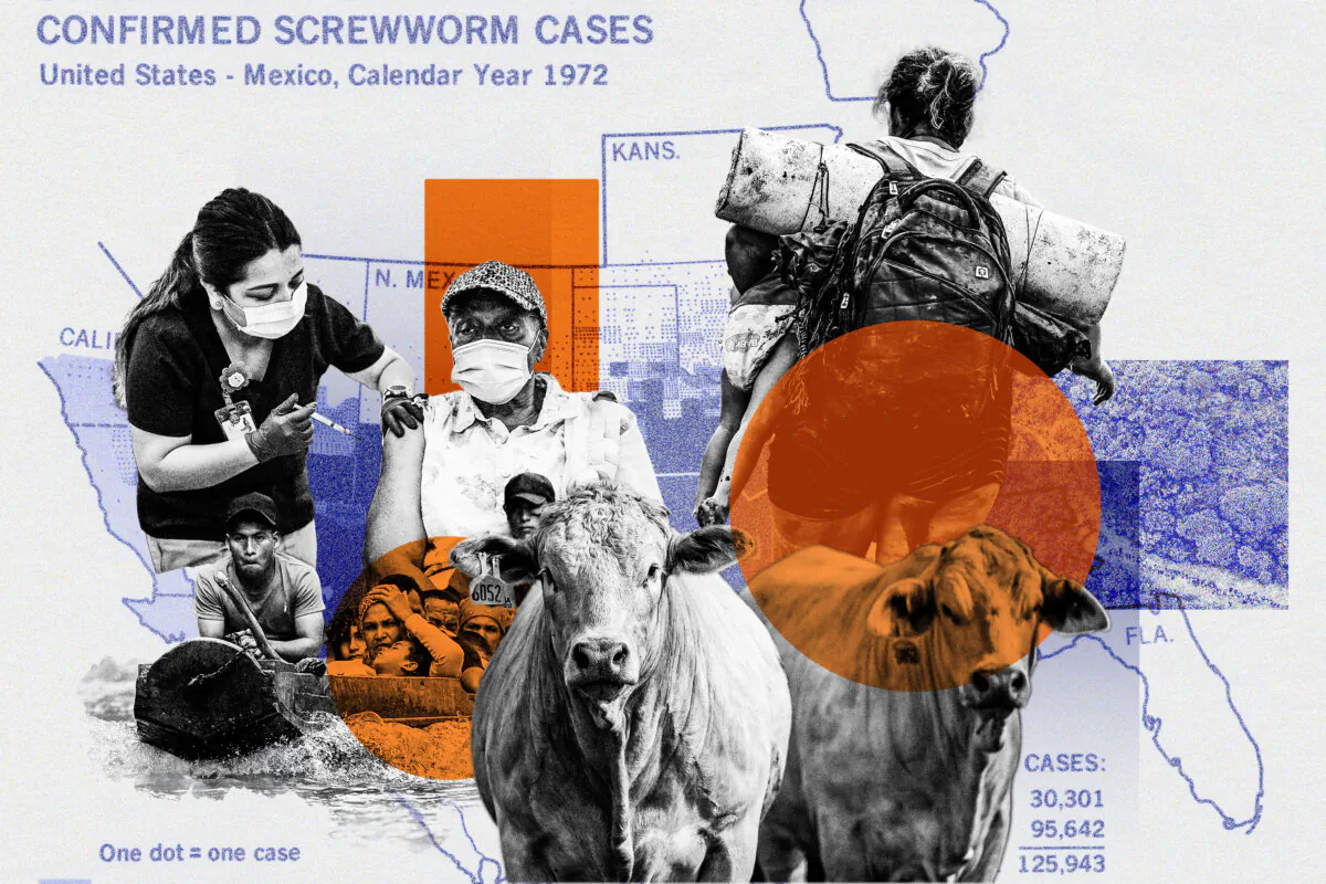 (Illustration by The Epoch Times, Getty Images, USDA National Agricultural Library)