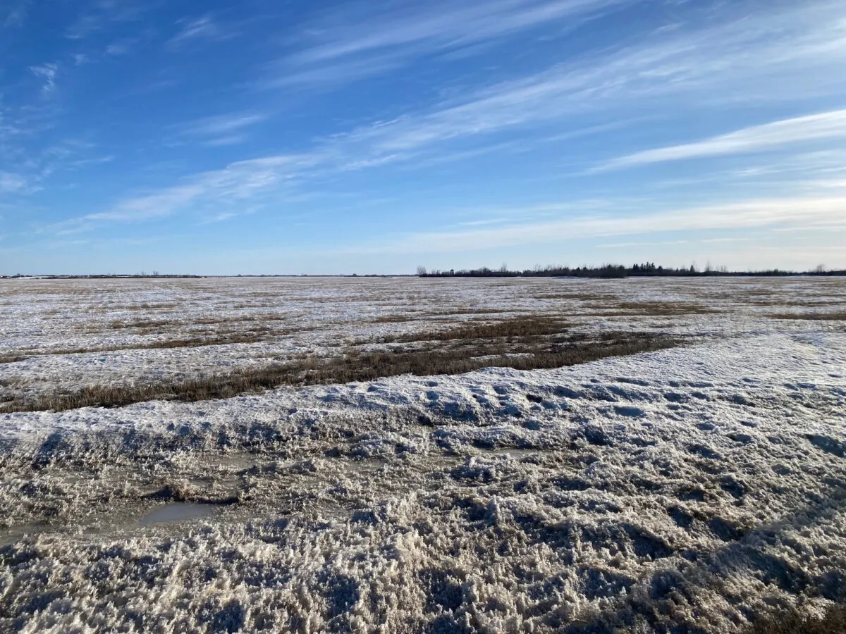A field near Saskatoon on March 26, 2024. Snow cover across parts of the Prairies is lower than normal, and several provinces are planning for a potential drought. (Doug Lett/The Epoch Times)