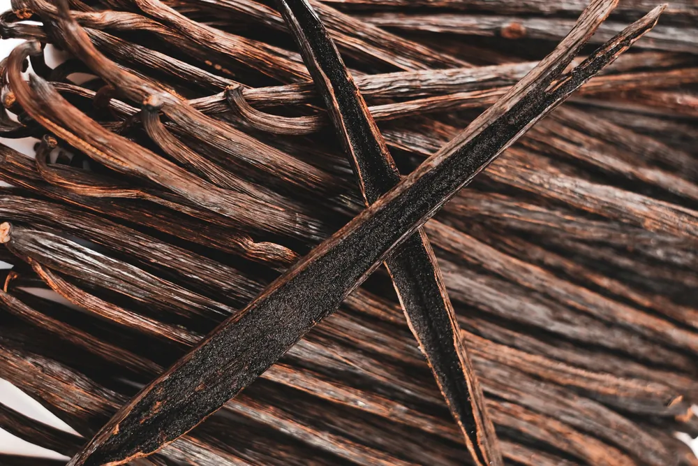 After harvesting, vanilla beans undergo a months-long curing process of drying and fermentation, which develops their flavor and aroma.(HappyTime19/Shutterstock)