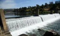 California Court Backs Less Water for Agriculture and Residents, More for Salmon and Trout