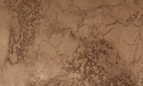 Apply Faux Painting Like a Pro