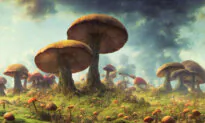 The Fungal Invasion We Should Welcome