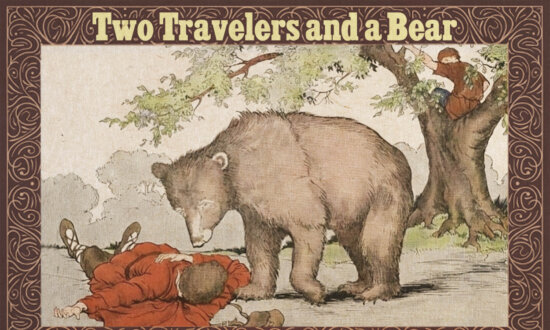 Man Hiding From Huge Bear Thinks It Whispered a Secret to His Fellow Traveler—Learns a Lesson