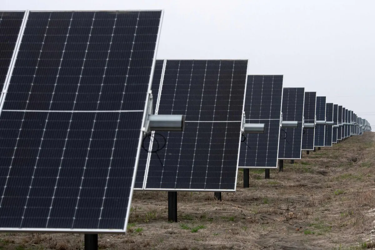 Solar panels at the ENGIE Sun Valley Solar project in Hill County, Texas, on March 1, 2023. (Mark Felix/AFP via Getty Images)