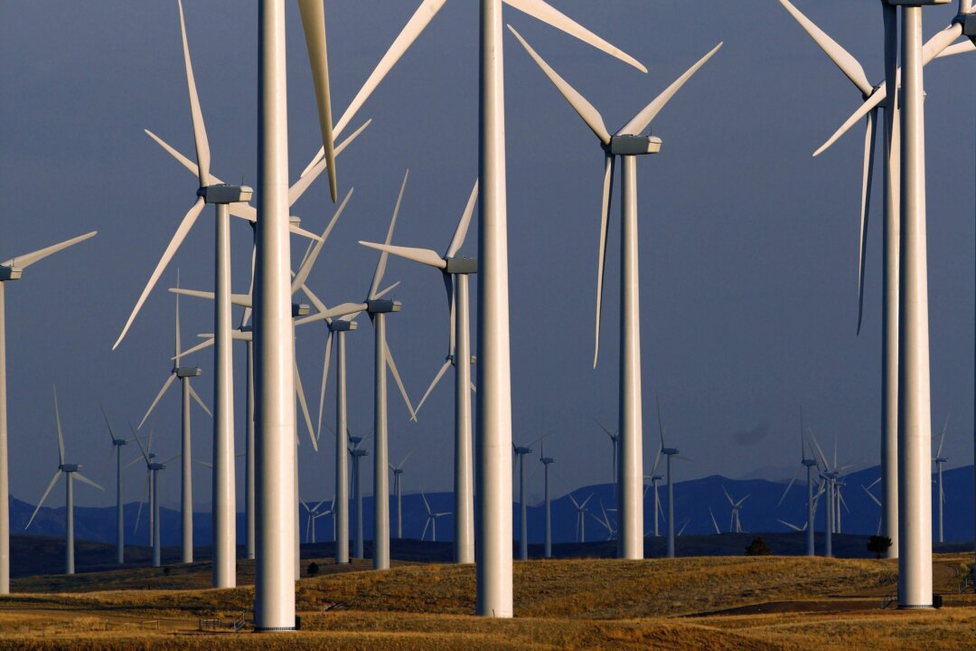 Demand for Land Remains Obstacle for Transition to Renewable Energy, Report Says