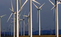 What If Renewable Energy Is a Racket?