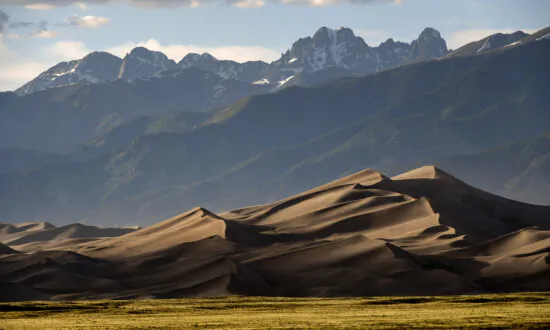 Sand Dunes National Park Officials Seek Solutions to Parking Problems, Visitation Spike