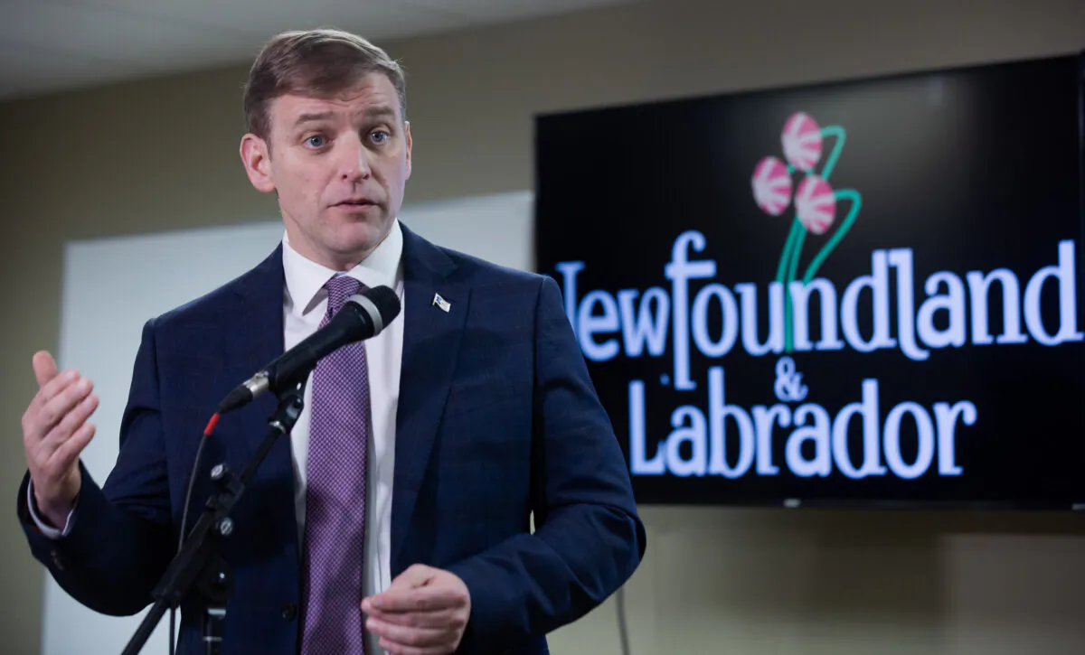 Premier Andrew Furey holds a press conference in St. John's on March 20, 2024. (The Canadian Press/Paul Daly)