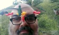 Hummingbird Whisperer