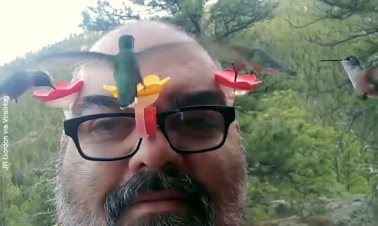 Hummingbird Whisperer