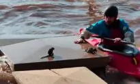 Good Samaritan Kayaker Saves 2 Baby Squirrels From Drowning in Flood Waters