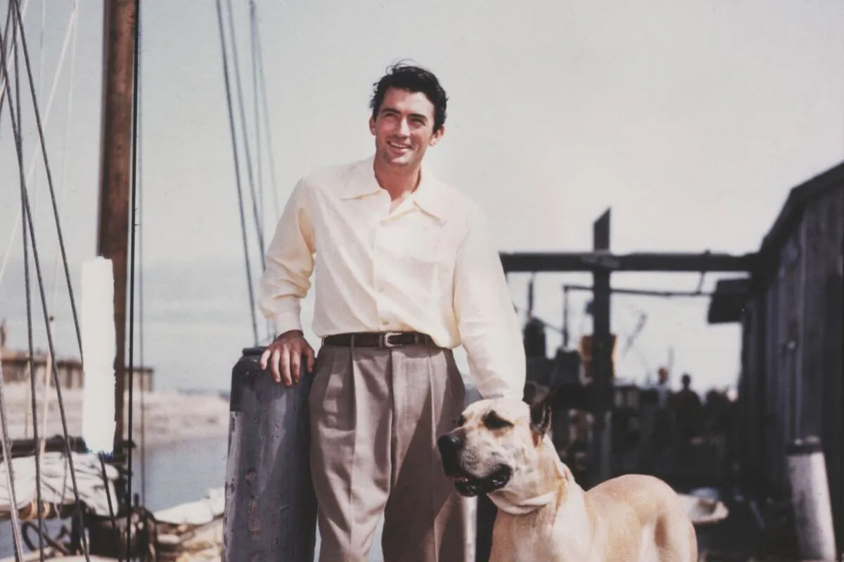 Actor Gregory Peck
poses with a Great
Dane on a dock,
circa 1950. (Archive Photos/Stringer/Getty Images)