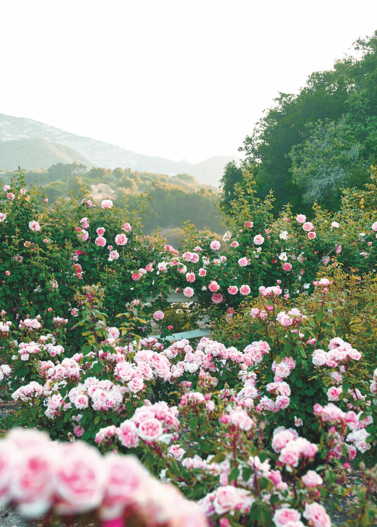Epoch Times Photo