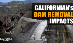 California’s Dam Removal Damages: Local Farmers Fear Liability for Massive Salmon Deaths | Theodora Johnson