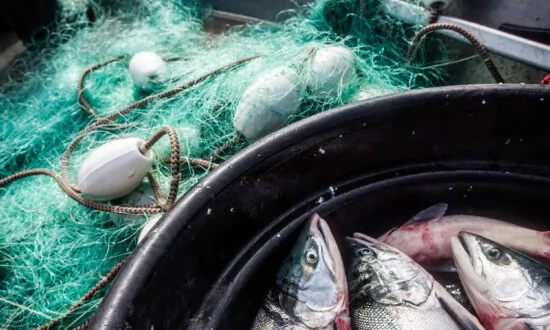 Biden Admin Handed a Win Against Alaska in Fishing Dispute