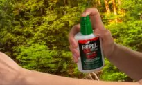 12 Most-Effective Insect Repellent Sprays