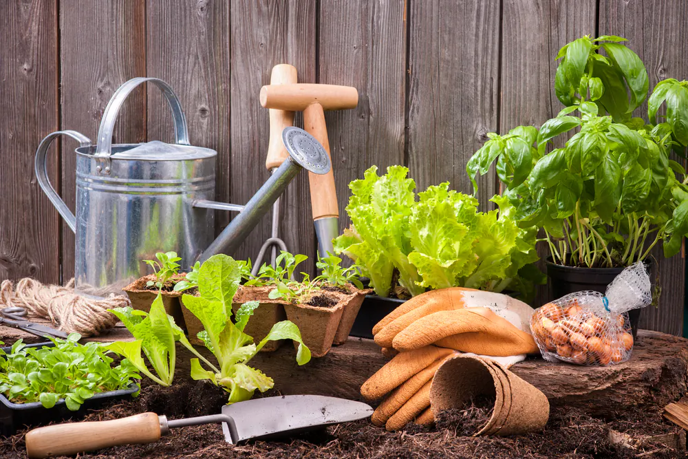 The right equipment makes every job easier, more efficient, and more enjoyable.(Alexander Raths/Shutterstock)