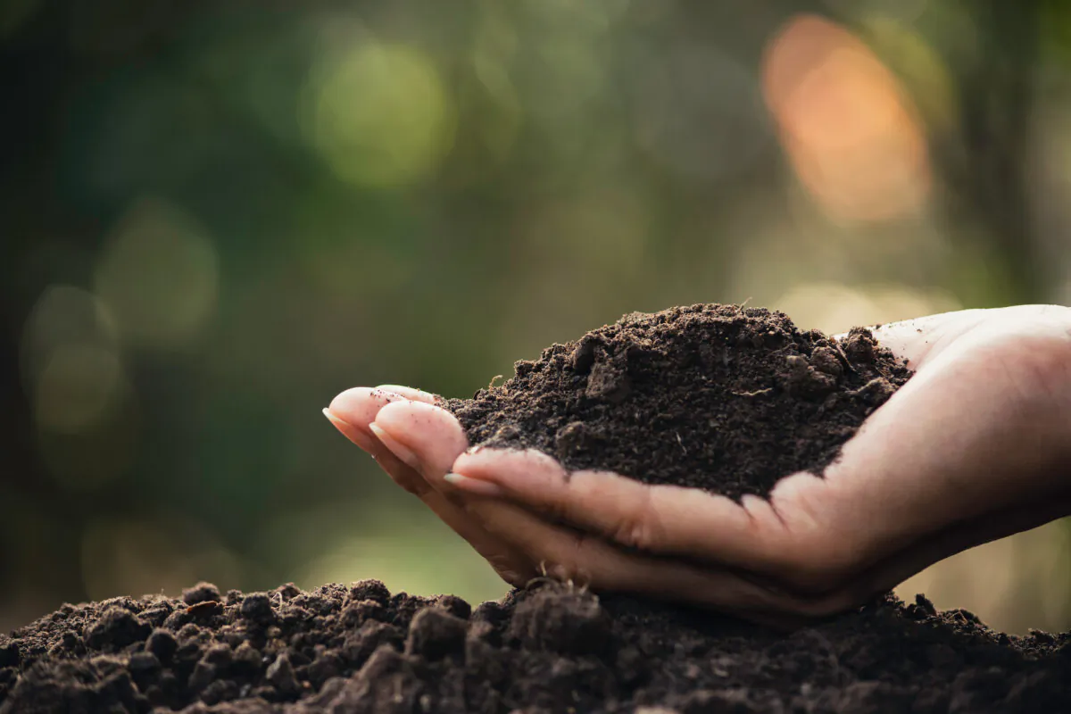 If you have clay soil, sandy soil or just about any other "bad" soil, adding composted organic matter will make it a better soil. (MintraTH/Shutterstock)