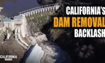 California’s Dam Removal Damages: Local Farmers Fear Liability for Massive Salmon Deaths | Theodora Johnson