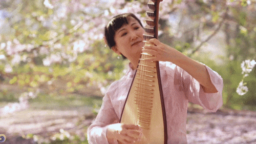 Beautiful Pipa Music: Refreshing, Peaceful, and Joyful