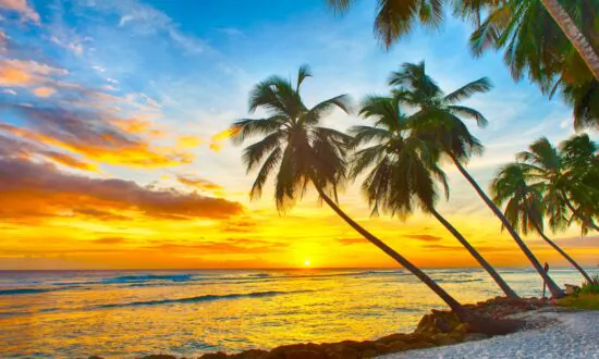 Taking the Kids: To Barbados