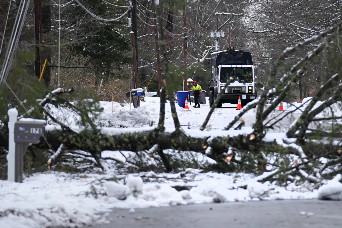 A sanitation worker collects trash at the last customer before a downed tree blocking the road in Derry, N.H., on April 5, 2024. (Charles Krupa/AP Photo)
