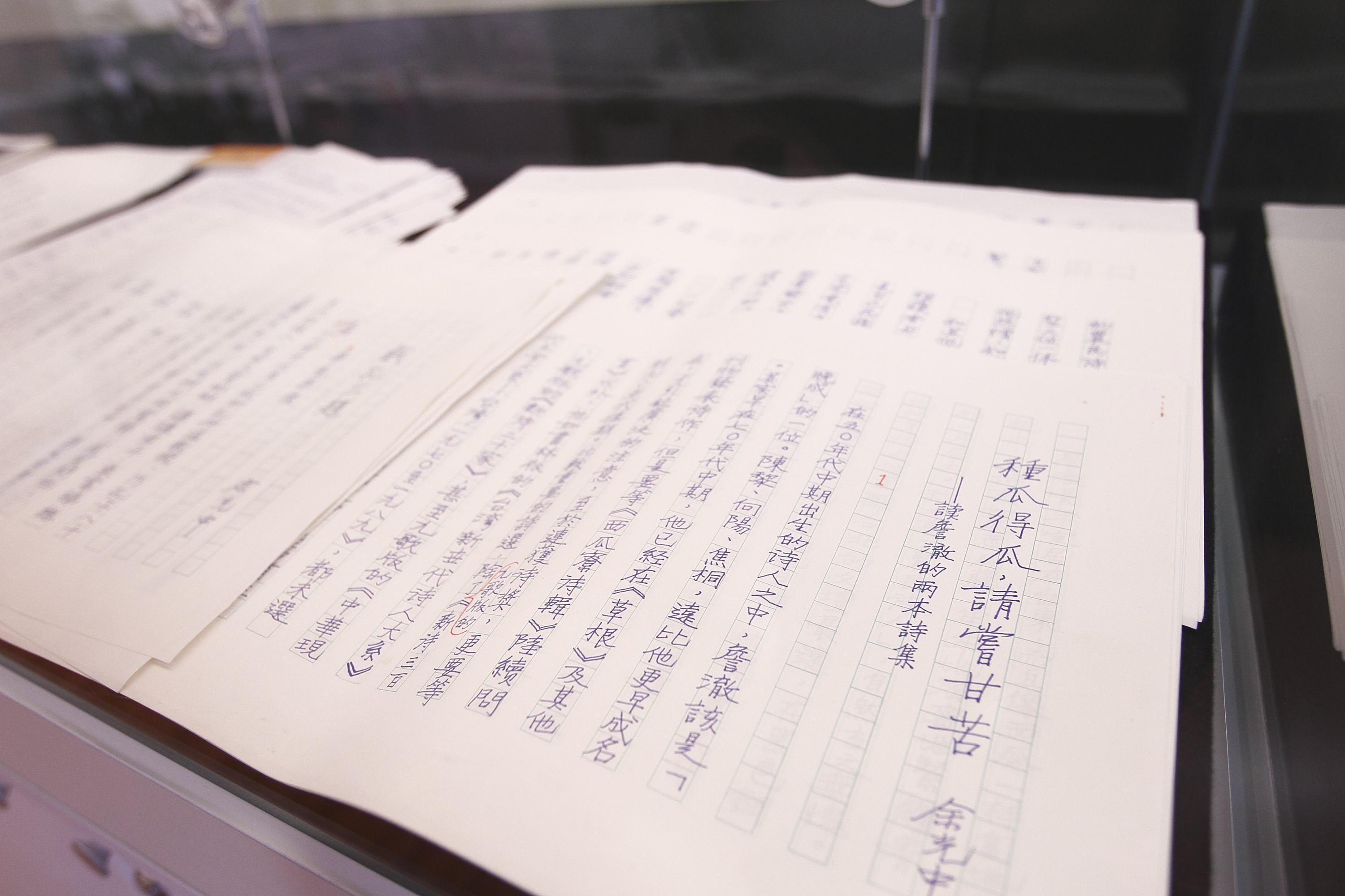 Epoch Times Photo