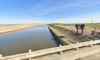 Former California Water Official Pleads Guilty to Stealing Water From Irrigation Canal