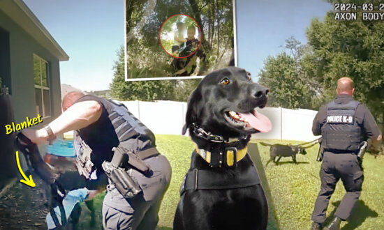 VIDEO: Florida K9 Officer Helps Police Find Missing 3-Year-Old in Dense Forest Behind His Home