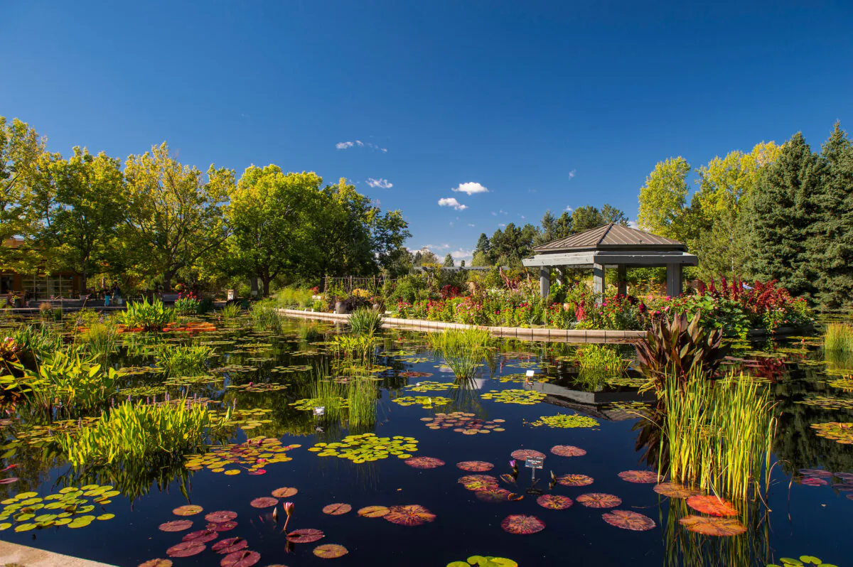A view of the Denver Botanic Gardens. (Scott Dressel-Martin/Denver Botanic Gardens/TNS)
