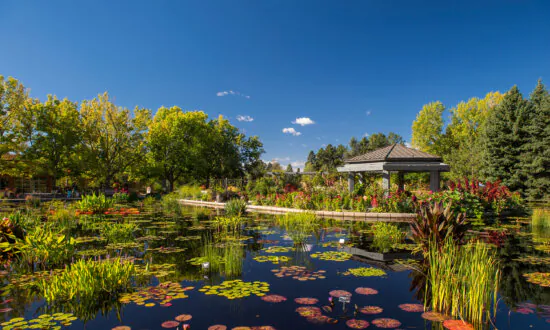 A Denver Botanic Gardens Membership Will Get You in Free to 300 Other Gardens. Is There One Near You?