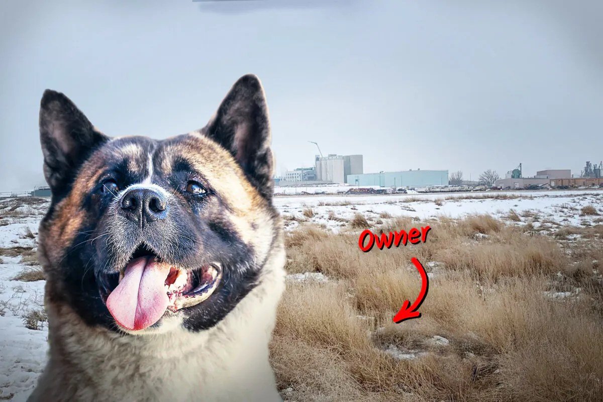 (Courtesy of Taber Police Service) (Inset: Illustration - Irina Safonova/Shutterstock)