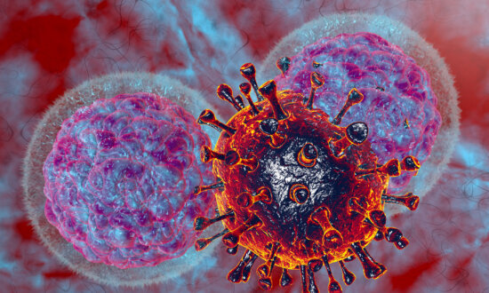 Immune Cells Are the Most Susceptibe to COVID Lung Infections