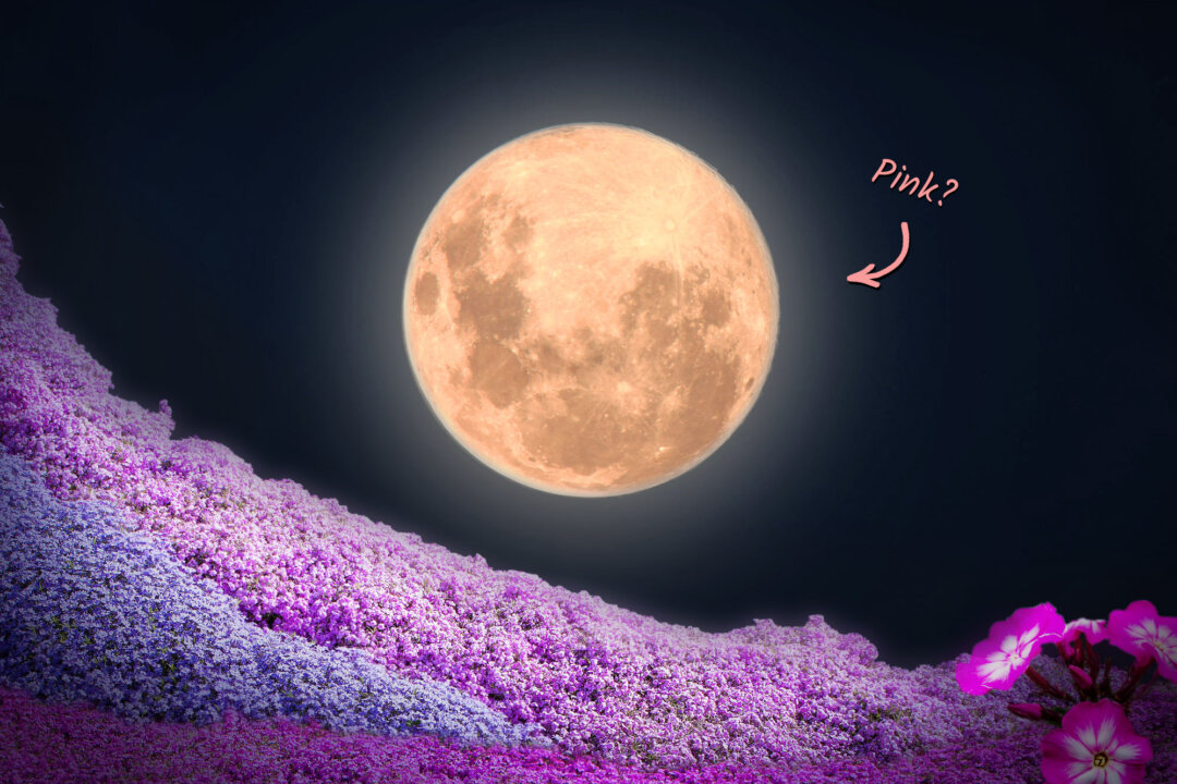id5626616-945-pink-moon-full-