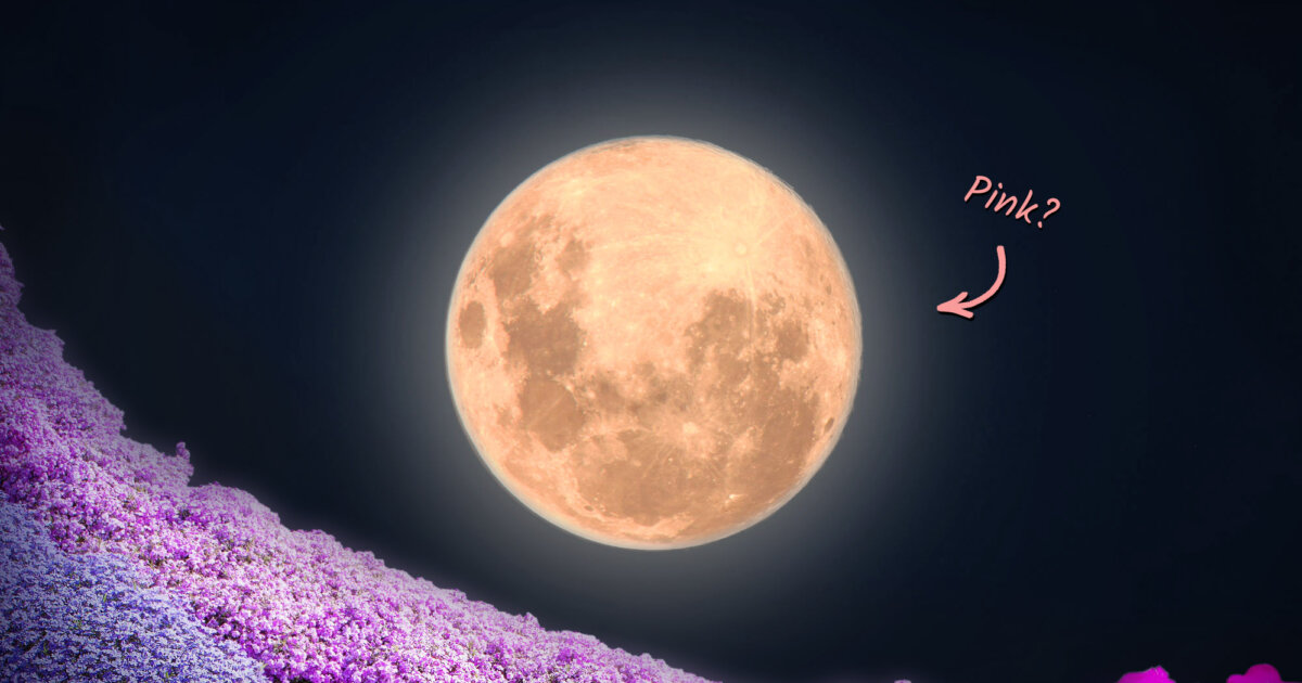 After Eclipsing the Sun, Moon to Wax ‘Full Pink Moon’ This April—Here’s ...