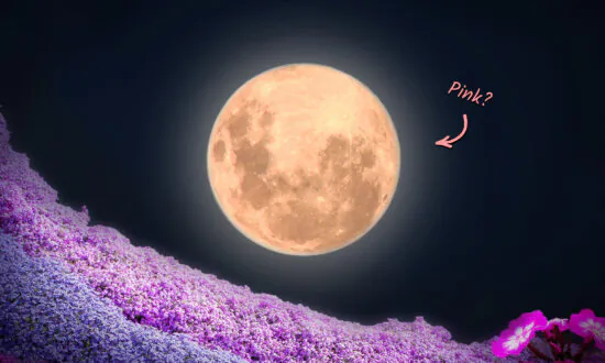 After Eclipsing the Sun, Moon to Wax ‘Full Pink Moon’ This April—Here’s What You Need to Know