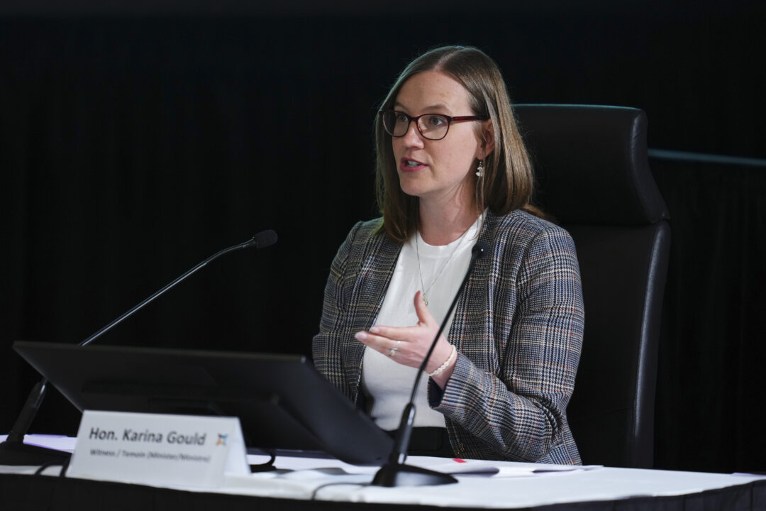 Federal Election Monitors Were More Focused on Interference From Russia Than China, Says Minister