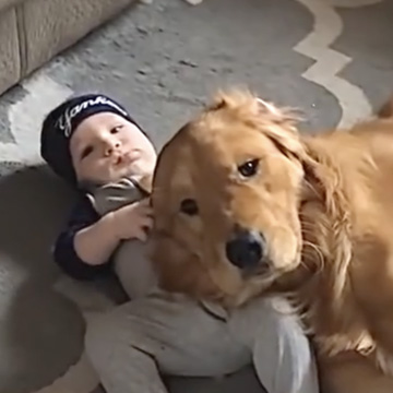 4-Month-Old Baby Boy Lovingly Snuggling With Golden Retriever Is the Cuteness You Need Today