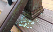 Ask the Builder: Deck Sealer Dilemma