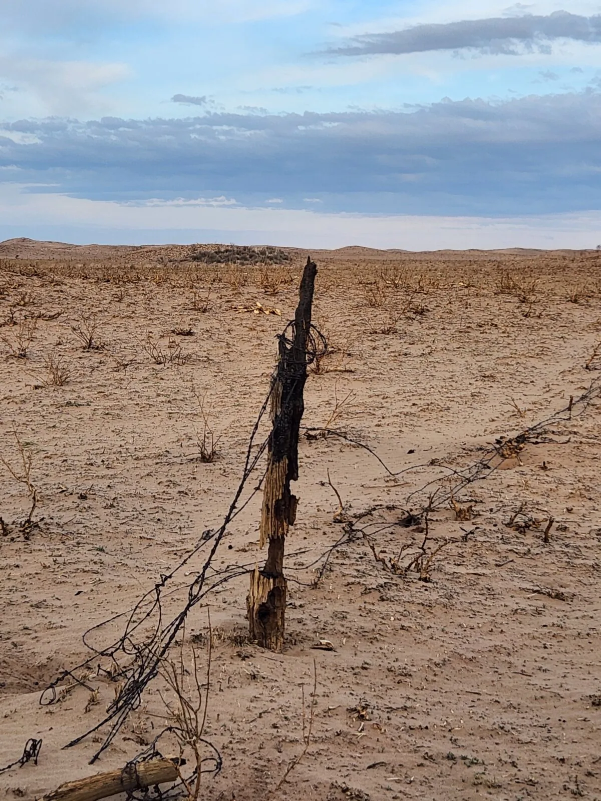 Natalie Meeks took this photo of a fence that was burned in the Smokehouse Creek Wildfire that was sparked on Feb. 26, 2024. (Courtesy of Natalie Meeks)