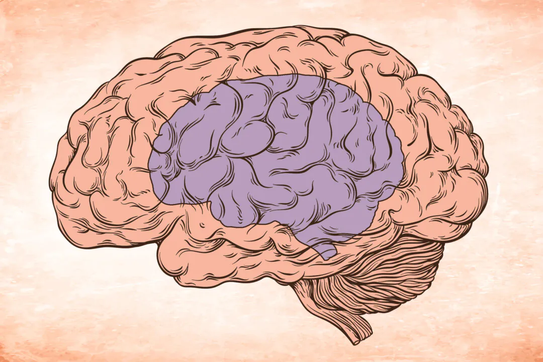 (Illustration by The Epoch Times, Shutterstock)
