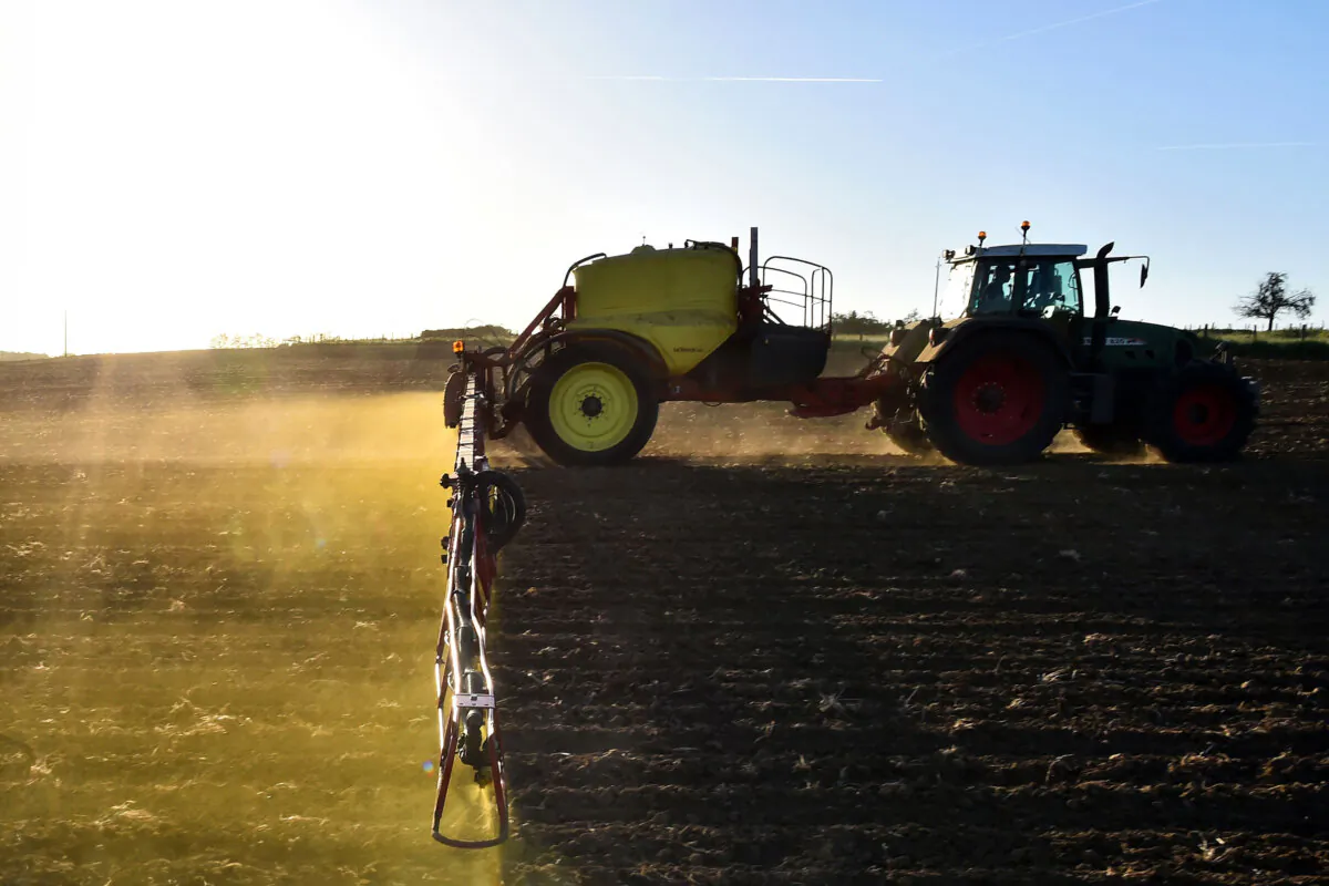 Glyphosate is typically sprayed on fields before production to kill any weeds. (Jean-Francois Monier/AFP via Getty Images)
