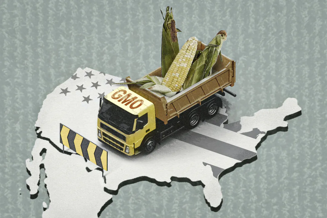 (Illustration by The Epoch Times, Shutterstock, Freepik)