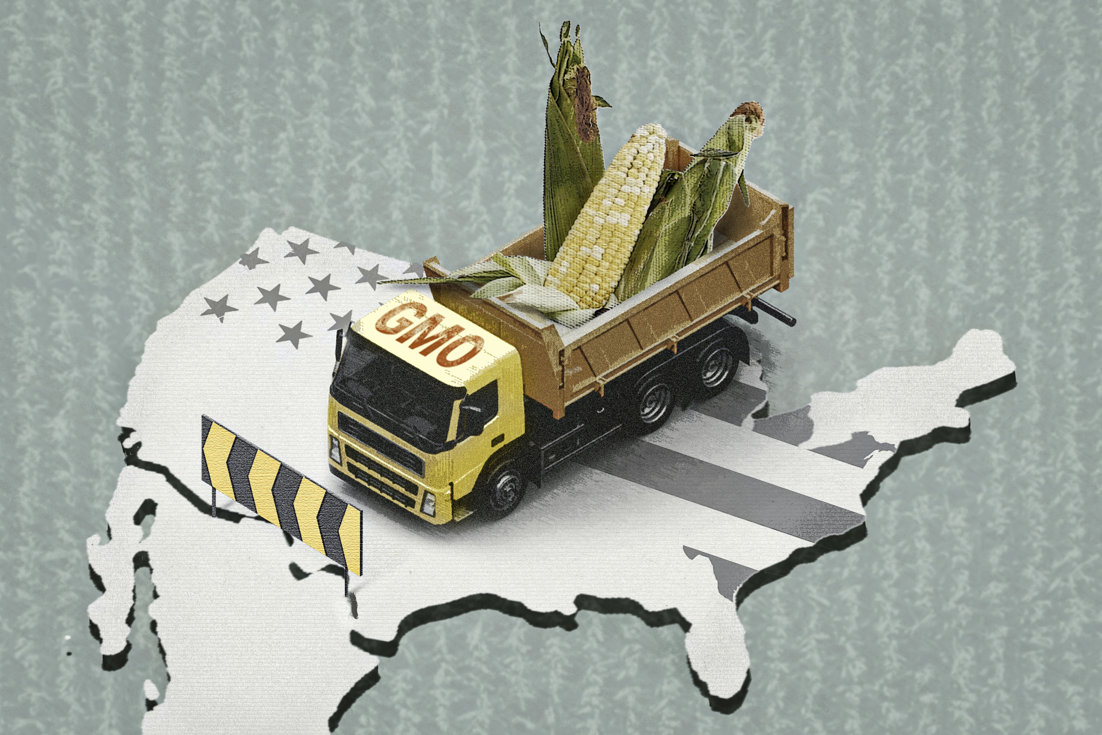 The US–Mexico Dispute Over GM Corn Safety Could Transform American Agriculture