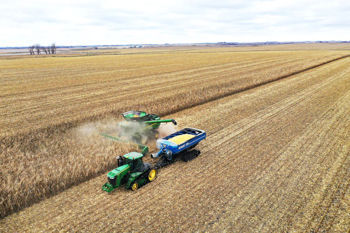 Farmers harvesting corn on Oct. 31, 2023, near McIntire, Iowa. (Scott Olson/Getty Images)